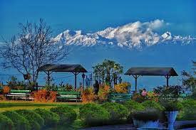 Nightingale Park — Darjeeling's Garden of Calm