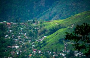 Top 15 Tourist Points in Darjeeling Must Visit
