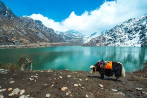 Tsomgo Lake Sikkim surrounded by snow