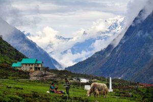 Thangu Valley offbeat destination North Sikkim