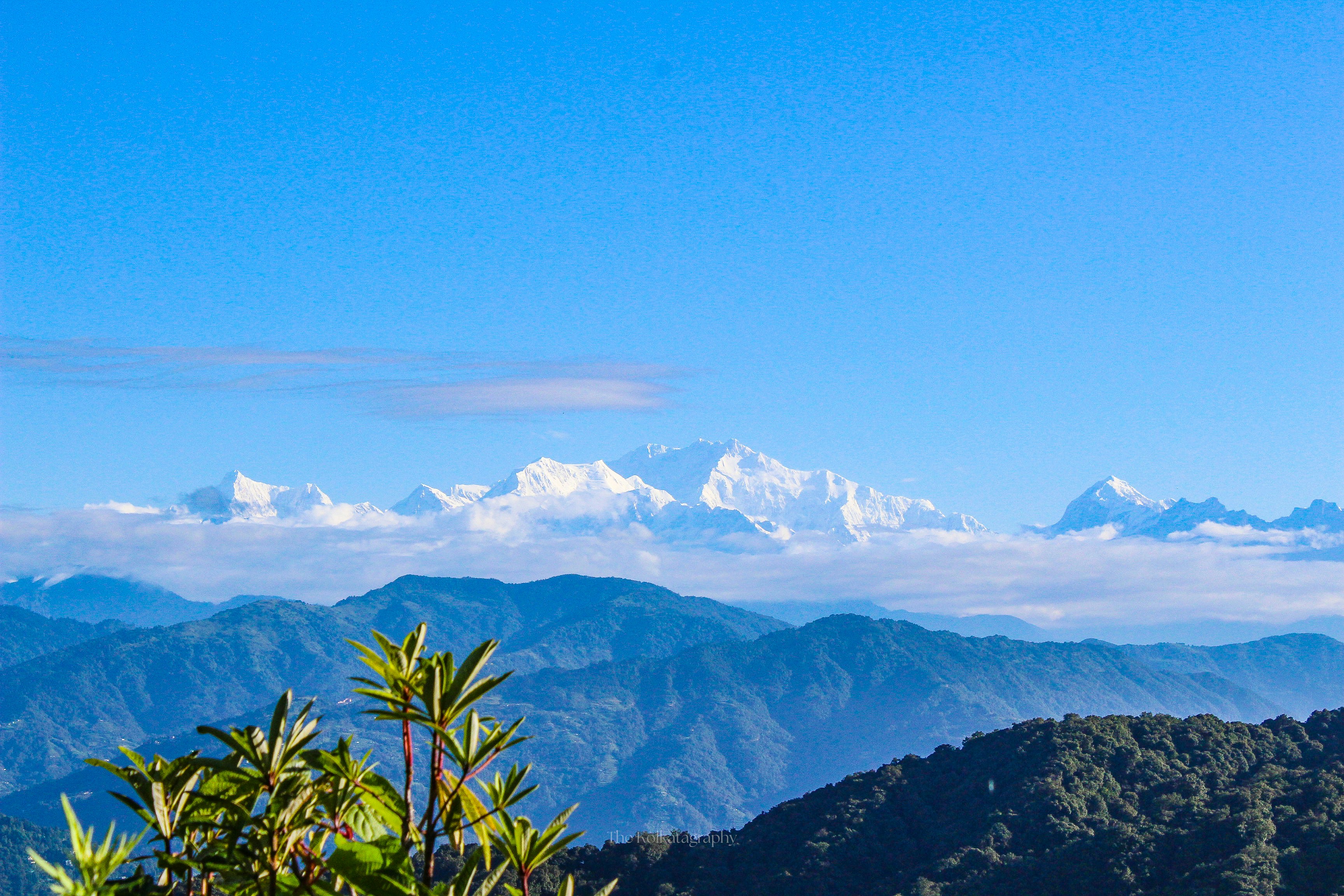 Darjeeling TO Bagdogra Airport/NJP Station (90 km/3 hrs) - Gangtok, Pelling &amp; Darjeeling Tour - 7 Nights 8 Days