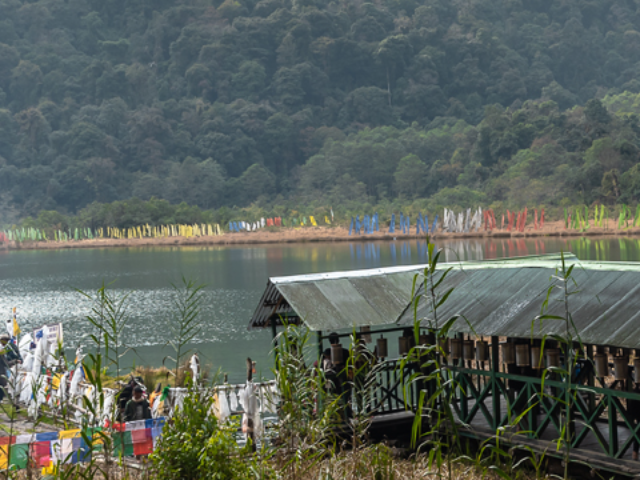 HOLLY LAKE KHECHOPARLI, PELLING